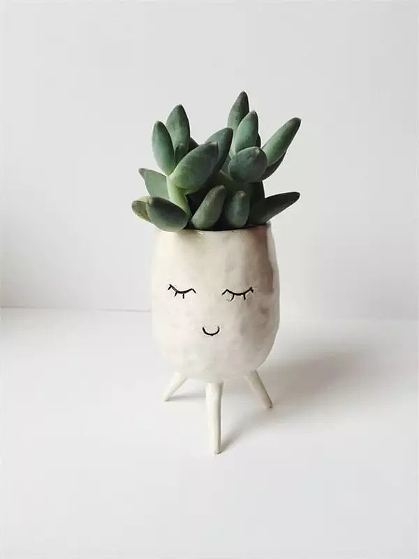 ceramics，Flowerpot，container，Home Furnishing，